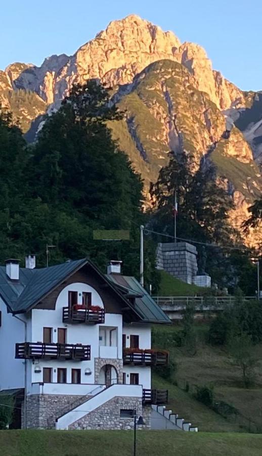 Апартаменты La Casa Di Monte Ricco Пьеве-ди-Кадоре Экстерьер фото